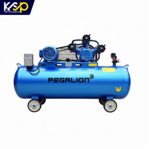 Máy nén khí Pegalion 4HP TM-W-0.36/8-120L (220V)